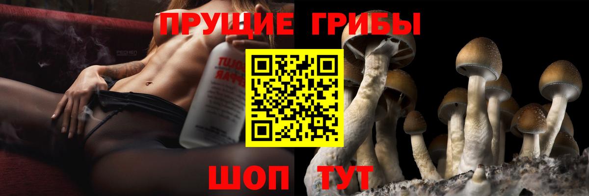 Галлюциногенные грибы Psilocybine cubensis  Псилоцибиновые грибы мухоморы  Вход с VPN  Богородск 